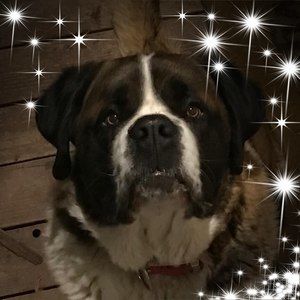 Meet your Posher, Marsha